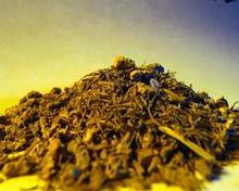 蒙医药